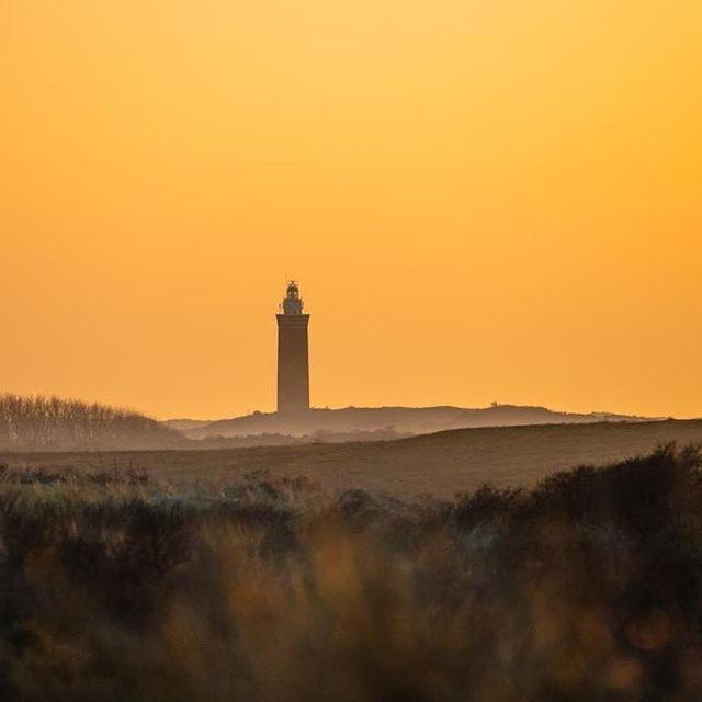 Vakantiewoning De Schelp Ellemeet Kültér fotó