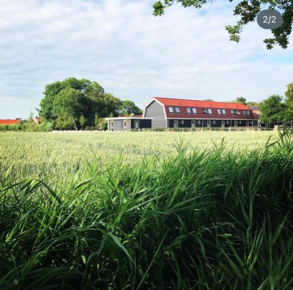 Vakantiewoning De Schelp Ellemeet Kültér fotó